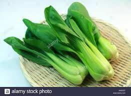 Bok Choy