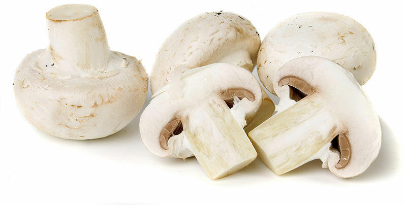 White Mushroom