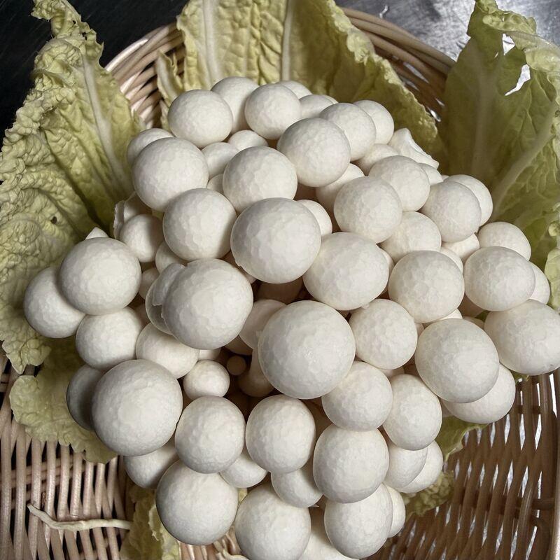 White Beech Mushroom