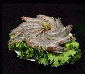 Fresh Shrimp