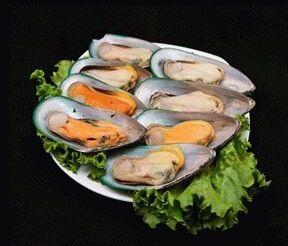 Mussel