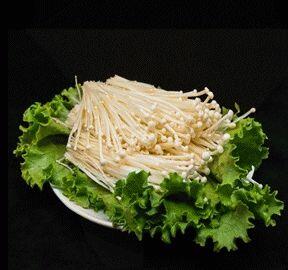 Enoki Mushroom