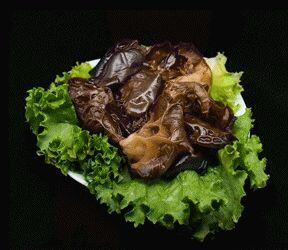 Woodear Mushroom
